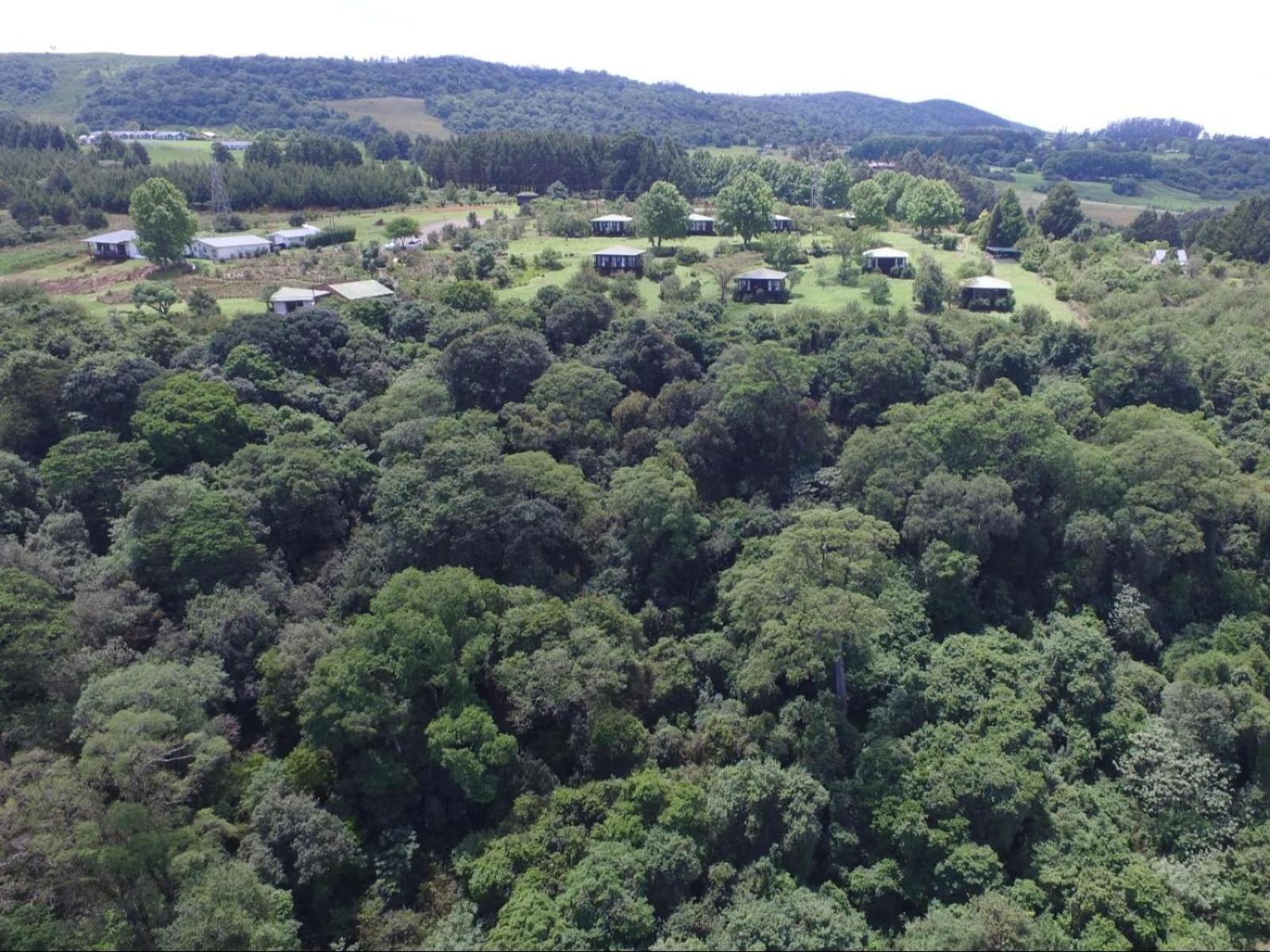 Midlands Forest Lodge Balgowan Екстериор снимка