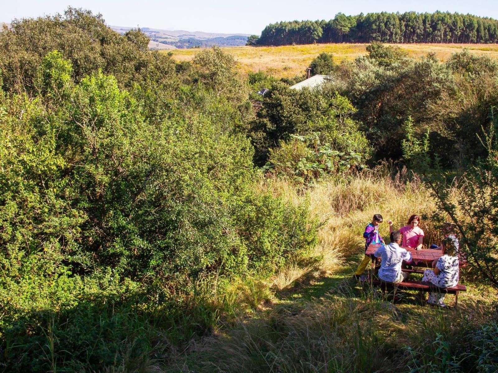 Midlands Forest Lodge Balgowan Екстериор снимка